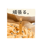 ポテトくんの喜怒哀楽。（個別スタンプ：6）