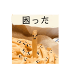 ポテトくんの喜怒哀楽。（個別スタンプ：7）