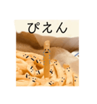 ポテトくんの喜怒哀楽。（個別スタンプ：10）