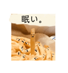 ポテトくんの喜怒哀楽。（個別スタンプ：13）