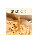 ポテトくんの喜怒哀楽。（個別スタンプ：15）
