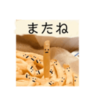 ポテトくんの喜怒哀楽。（個別スタンプ：16）