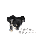 サスケだよっ（個別スタンプ：3）