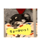 サスケだよっ（個別スタンプ：6）