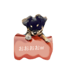 サスケだよっ（個別スタンプ：7）