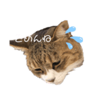 くぅちゃんのスタンプ .（個別スタンプ：2）