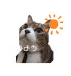 くぅちゃんのスタンプ .（個別スタンプ：3）