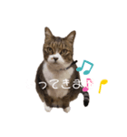 くぅちゃんのスタンプ .（個別スタンプ：5）