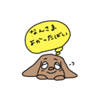 球磨弁の犬の心の中（個別スタンプ：16）