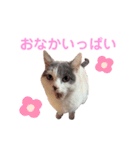 まめちゃんスタンプ<2>（個別スタンプ：4）