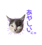 まめちゃんスタンプ<2>（個別スタンプ：5）