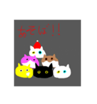 ここちゃんの丸猫スタンプ♫（個別スタンプ：1）