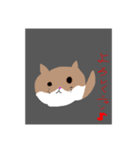 ここちゃんの丸猫スタンプ♫（個別スタンプ：3）