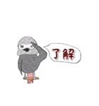 ヨウムはしゃべります。（個別スタンプ：4）