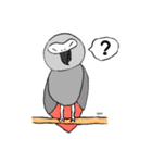 ヨウムはしゃべります。（個別スタンプ：5）