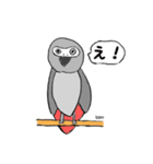 ヨウムはしゃべります。（個別スタンプ：6）