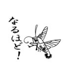 スガシバ珈琲001（個別スタンプ：3）