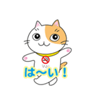 すわにゃん01（個別スタンプ：1）