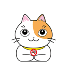 すわにゃん01（個別スタンプ：2）