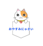 すわにゃん01（個別スタンプ：4）