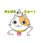 すわにゃん01（個別スタンプ：5）