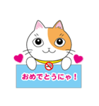 すわにゃん01（個別スタンプ：6）