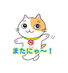 すわにゃん01（個別スタンプ：8）
