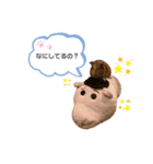 ココちゃんのスタンプ♡（個別スタンプ：2）
