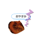 ココちゃんのスタンプ♡（個別スタンプ：3）