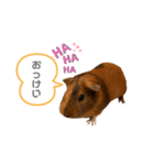 ココちゃんのスタンプ♡（個別スタンプ：6）