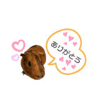 ココちゃんのスタンプ♡（個別スタンプ：8）