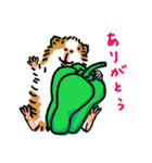 驚愕！ モルモットの世界 3（個別スタンプ：1）