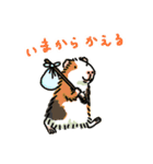 驚愕！ モルモットの世界 3（個別スタンプ：11）