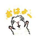 驚愕！ モルモットの世界 3（個別スタンプ：22）