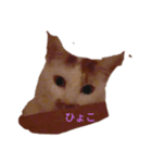 レオマロ（個別スタンプ：3）