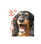 ミニチュアダックスの会話（個別スタンプ：8）