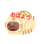 かんのゴリラ（個別スタンプ：1）