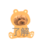 riku:STAMP（個別スタンプ：4）
