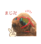 riku:STAMP（個別スタンプ：5）