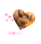 riku:STAMP（個別スタンプ：7）