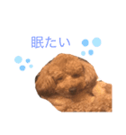 riku:STAMP（個別スタンプ：8）