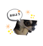 阿部家の仲間たち（個別スタンプ：1）