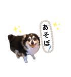 阿部家の仲間たち（個別スタンプ：7）