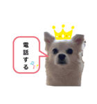 阿部家の仲間たち（個別スタンプ：8）