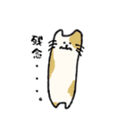 長いネコです。（個別スタンプ：5）