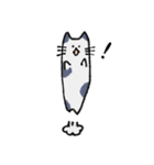 長いネコです。（個別スタンプ：13）