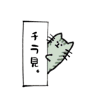 長いネコです。（個別スタンプ：17）