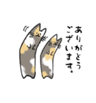 長いネコです。（個別スタンプ：21）