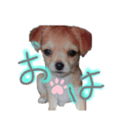Rinoすた（個別スタンプ：2）