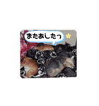 Rinoすた（個別スタンプ：4）